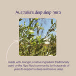 Native Relaxation Tea