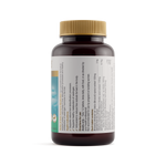 Hormone Metabolism