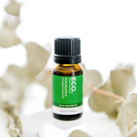 Eucalyptus Pure Essential Oil