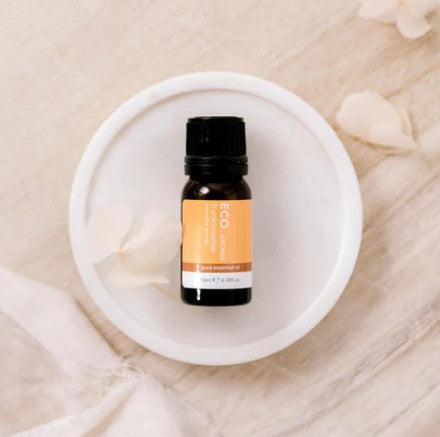 Frankincense Oure Essential Oil