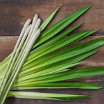 Lemongrass, Lime & Patchouli Natural Deodorant for Sensitive Skin 15g