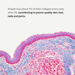 Collagen Restore™