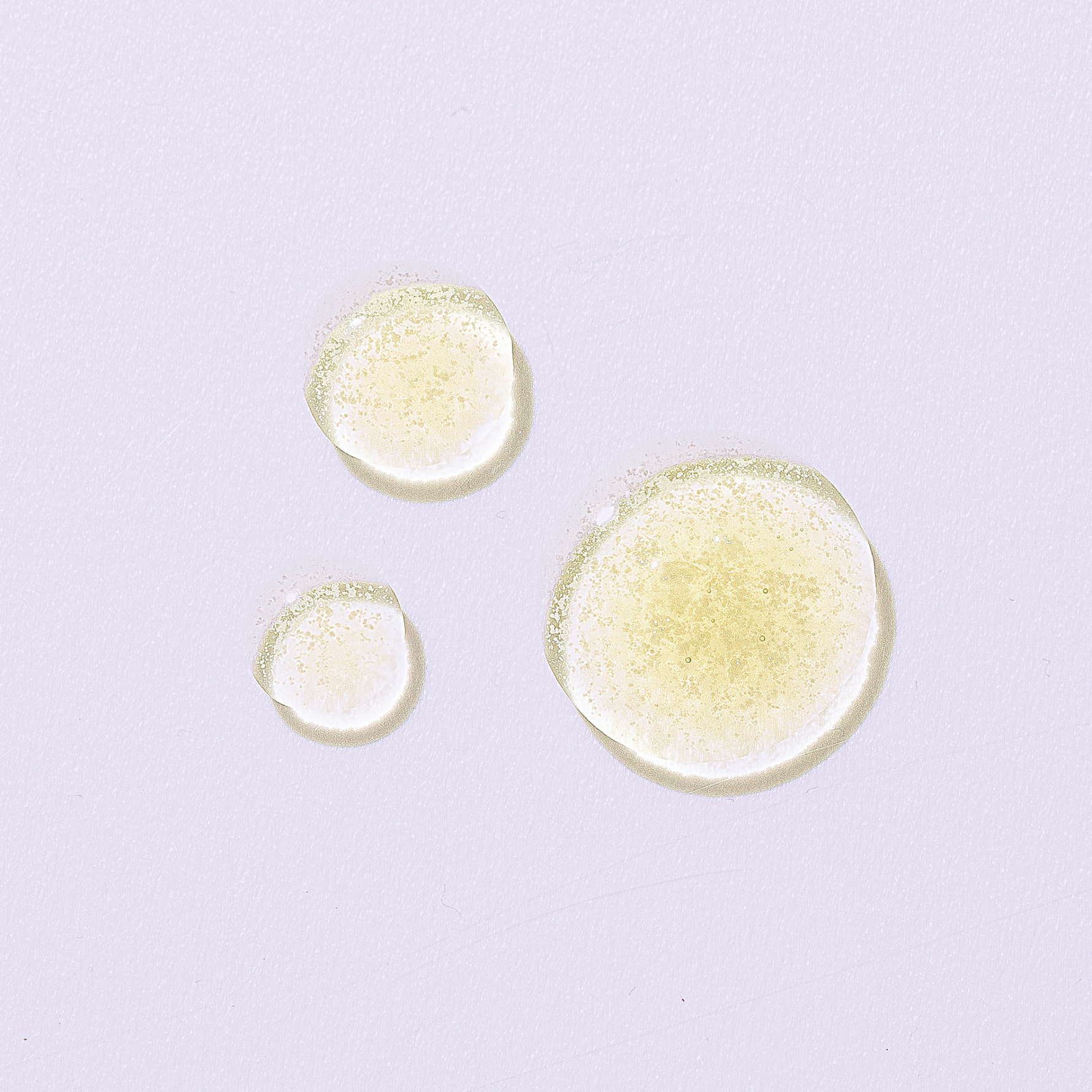 Dilo Oil (Tamanu Oil) 30ml